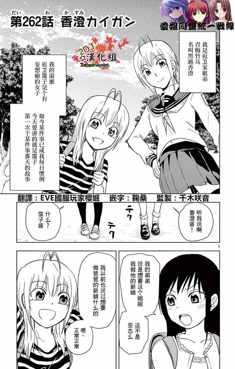 姐姐的妄想日记韩漫全集-第262话无删减无遮挡章节图片 