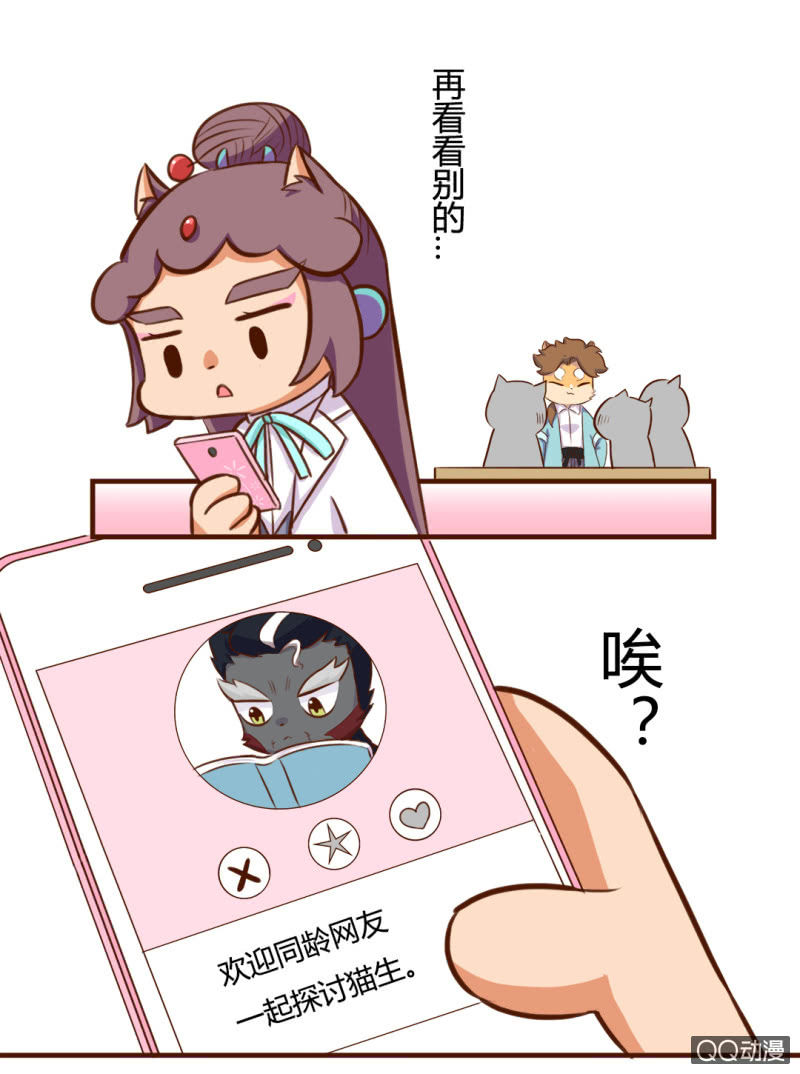 京剧猫喵日常韩漫全集-实现？双十一的愿望无删减无遮挡章节图片 