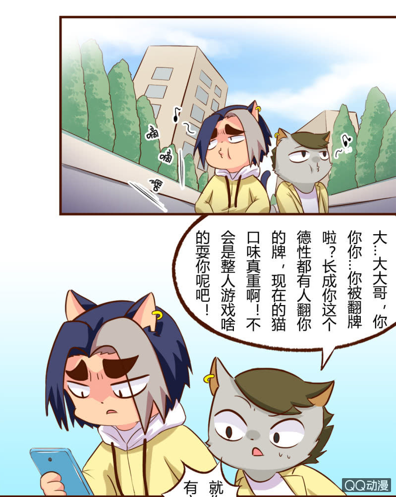 京剧猫喵日常韩漫全集-实现？双十一的愿望无删减无遮挡章节图片 