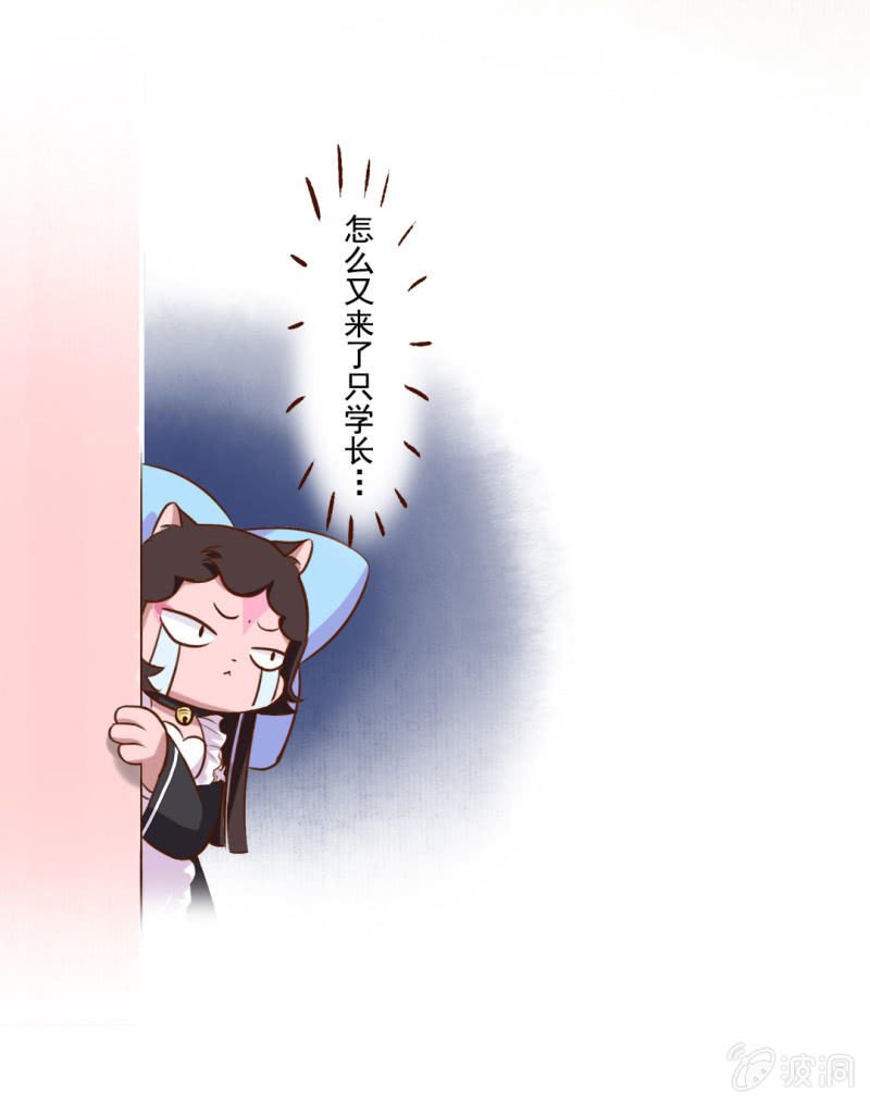 京剧猫喵日常韩漫全集-分享！胜利的成果无删减无遮挡章节图片 