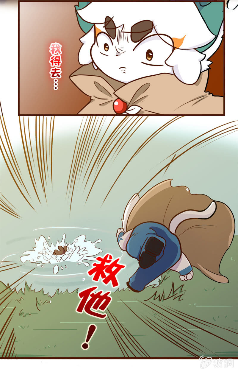 京剧猫喵日常韩漫全集-番外：白糖的珠子无删减无遮挡章节图片 