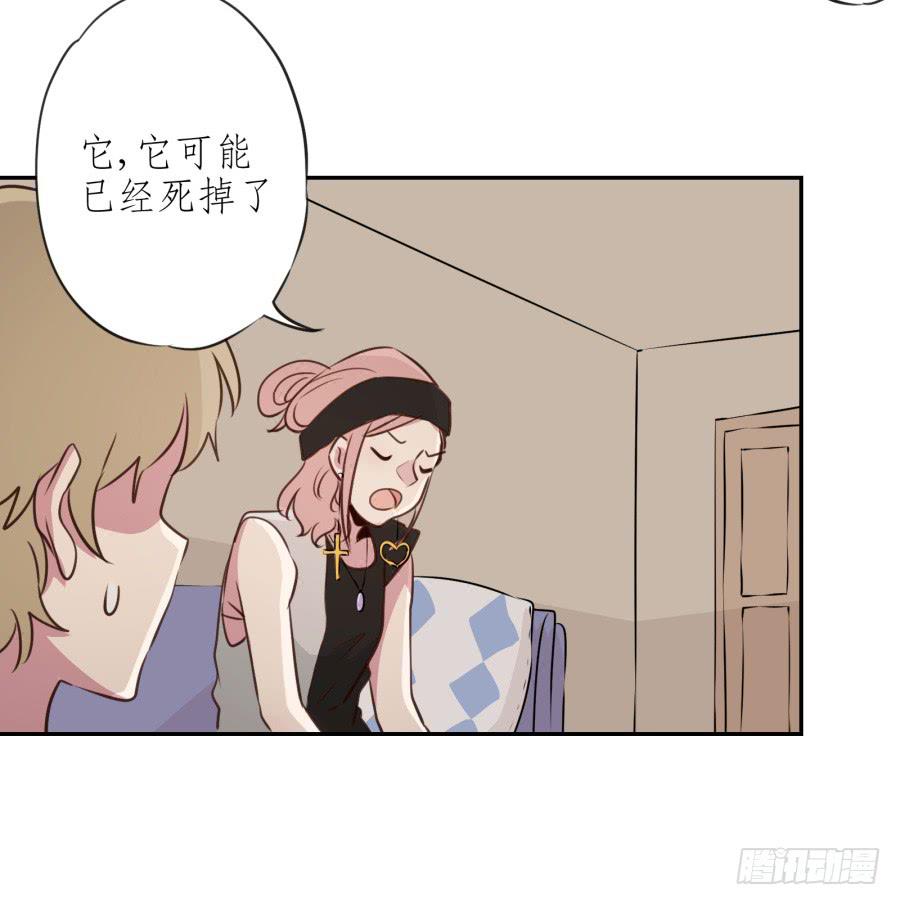 鲸鱼的耳朵韩漫全集-你怎么不说一声就出现…无删减无遮挡章节图片 