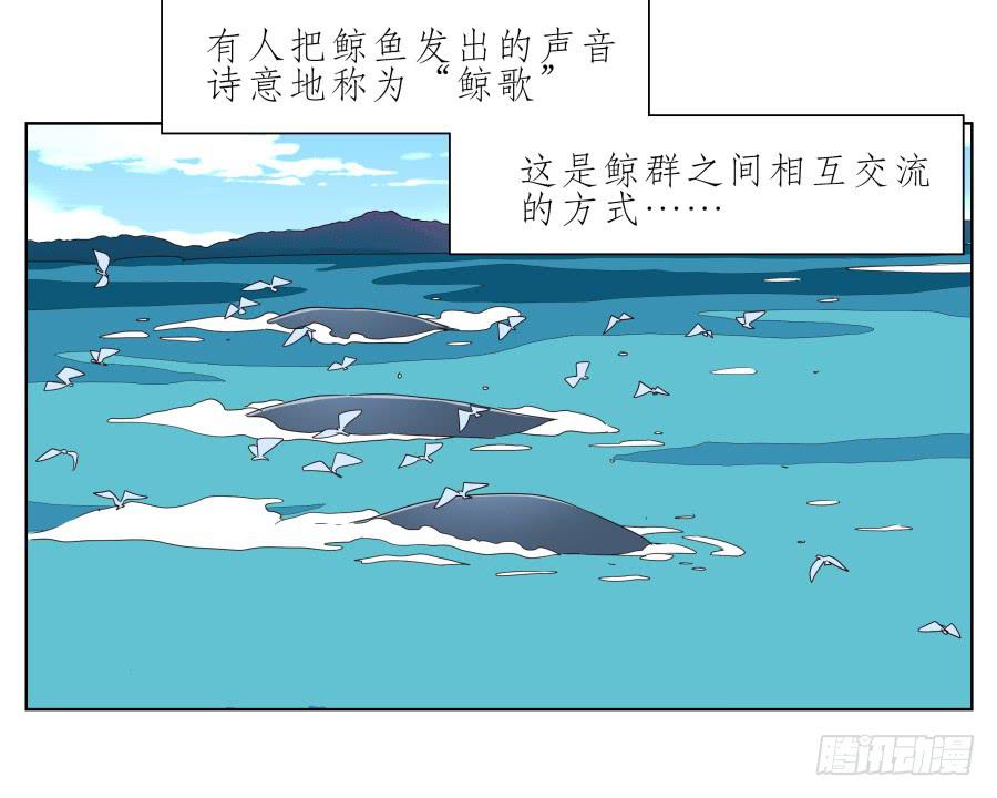 鲸鱼的耳朵韩漫全集-好久没有这么开心了啊…无删减无遮挡章节图片 