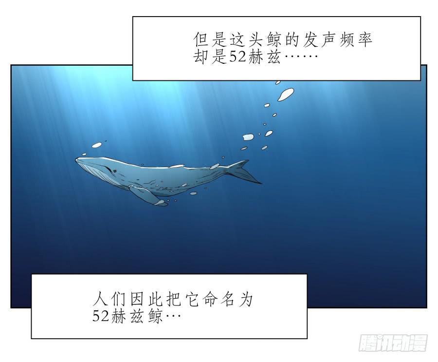 鲸鱼的耳朵韩漫全集-好久没有这么开心了啊…无删减无遮挡章节图片 