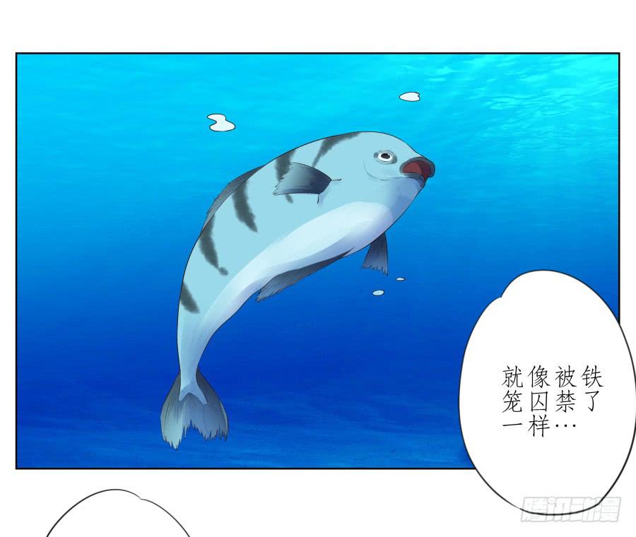 鲸鱼的耳朵韩漫全集-好久没有这么开心了啊…无删减无遮挡章节图片 