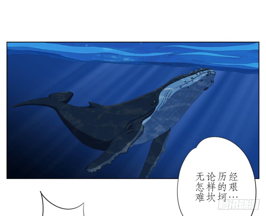 鲸鱼的耳朵韩漫全集-这真是一次特殊的经历…无删减无遮挡章节图片 