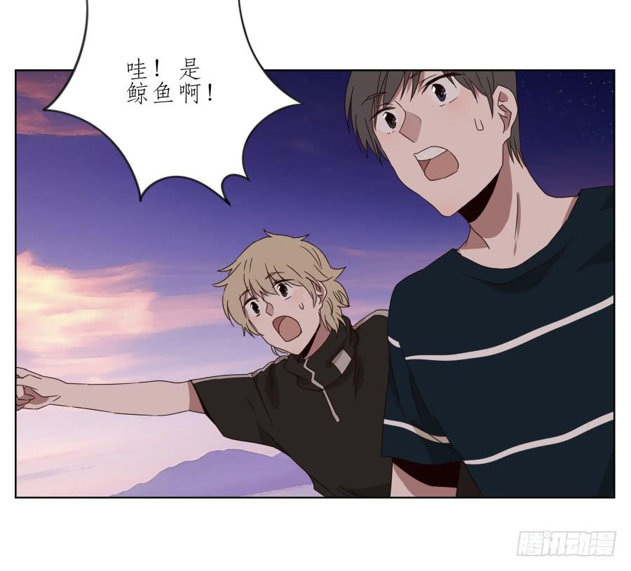 鲸鱼的耳朵韩漫全集-这真是一次特殊的经历…无删减无遮挡章节图片 