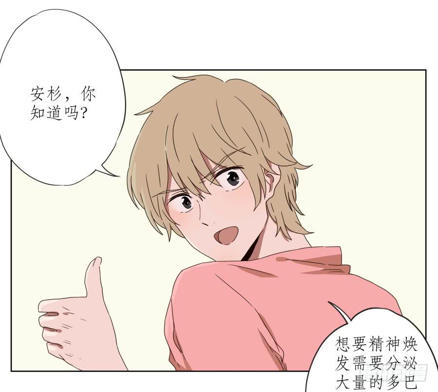 鲸鱼的耳朵韩漫全集-安衫复活日~无删减无遮挡章节图片 