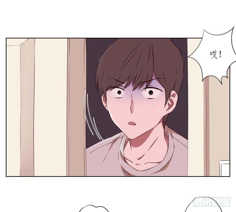 鲸鱼的耳朵韩漫全集-诱捕安衫大作战~无删减无遮挡章节图片 