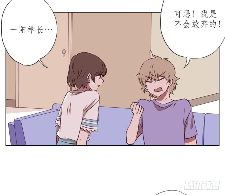 鲸鱼的耳朵韩漫全集-诱捕安衫大作战~无删减无遮挡章节图片 