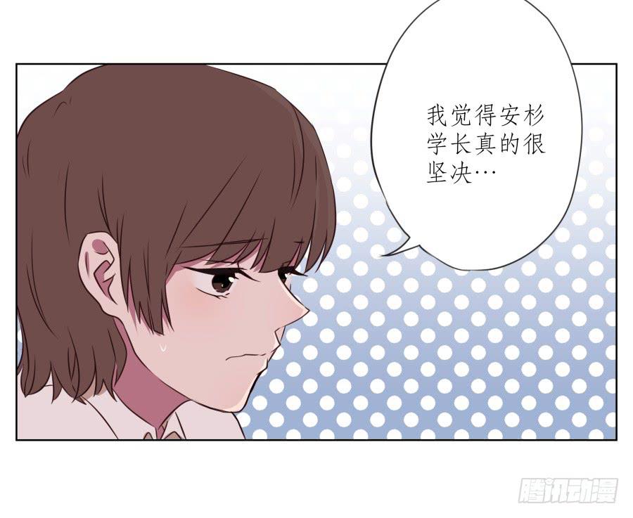 鲸鱼的耳朵韩漫全集-诱捕安衫大作战~无删减无遮挡章节图片 