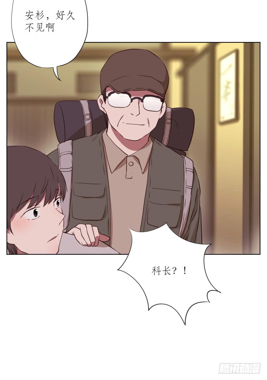 鲸鱼的耳朵韩漫全集-诱捕安衫大作战~无删减无遮挡章节图片 