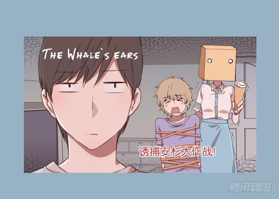 鲸鱼的耳朵韩漫全集-诱捕安衫大作战~无删减无遮挡章节图片 