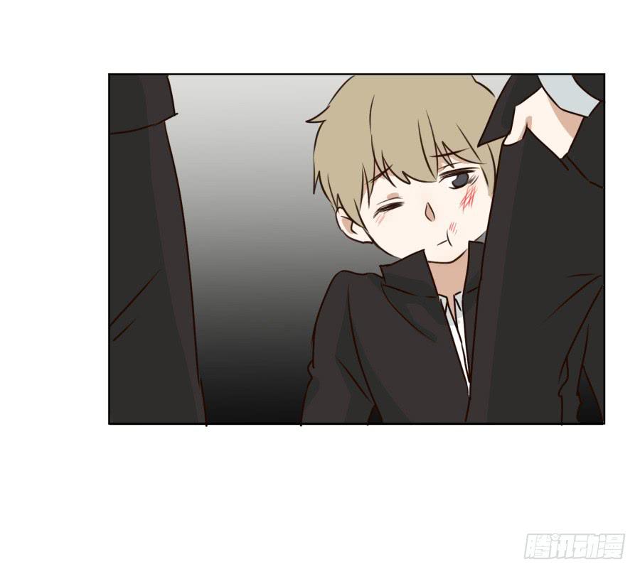 鲸鱼的耳朵韩漫全集-一阳的回忆无删减无遮挡章节图片 