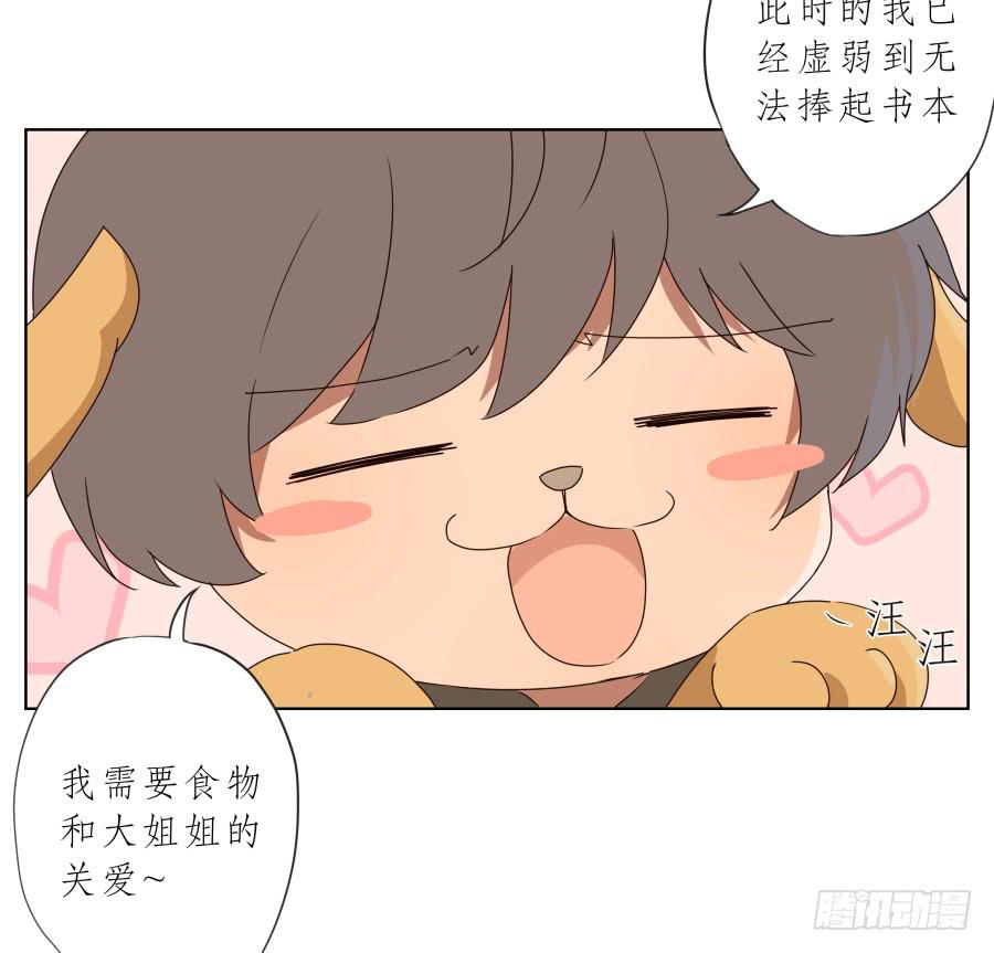 鲸鱼的耳朵韩漫全集-抱歉，这种条件我不能接受！无删减无遮挡章节图片 