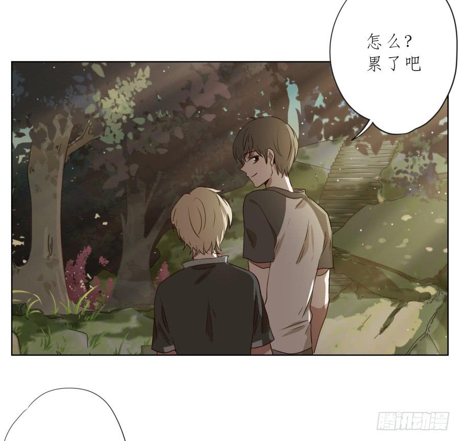 鲸鱼的耳朵韩漫全集-让我们变得像烟花一样夺目吧！无删减无遮挡章节图片 
