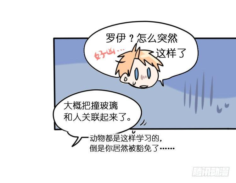 进化之基韩漫全集-飞吧小少爷：心灵创伤？无删减无遮挡章节图片 