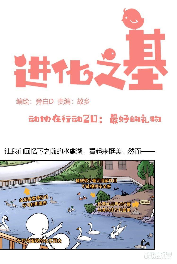 进化之基韩漫全集-动协在行动20：最好的礼物无删减无遮挡章节图片 