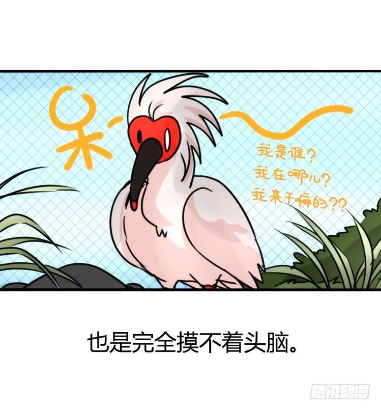 进化之基韩漫全集-使命篇21：重振绯羽③无删减无遮挡章节图片 