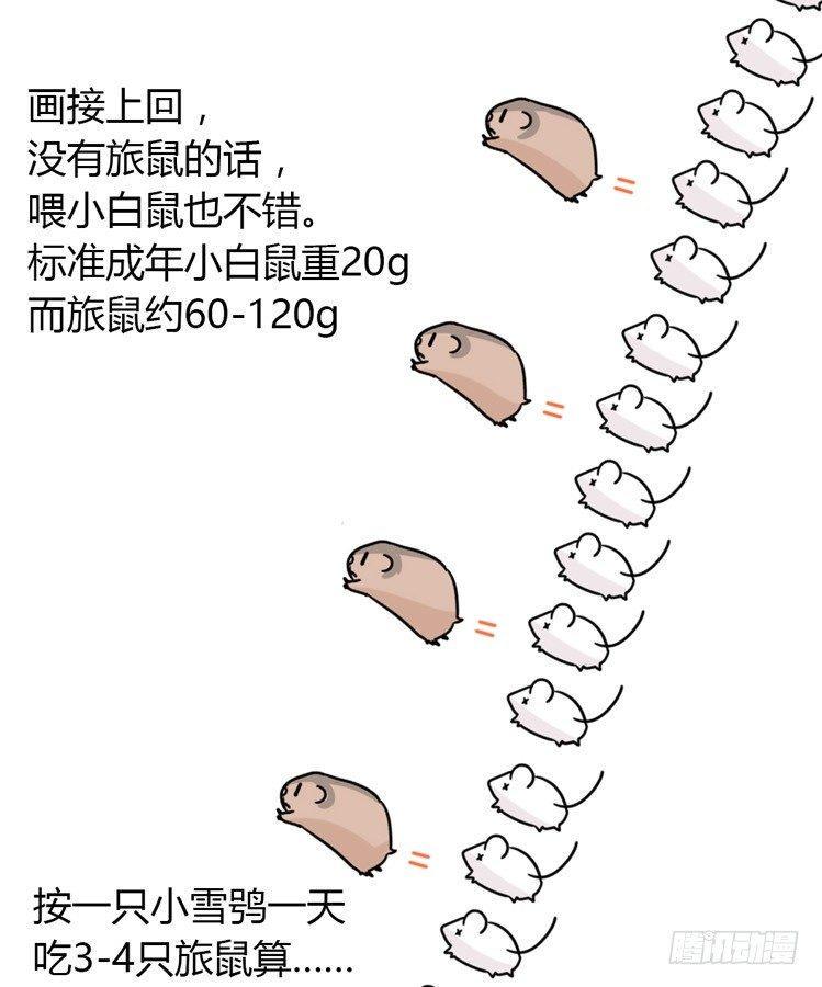 进化之基韩漫全集-飞吧小少爷：万事开头难无删减无遮挡章节图片 