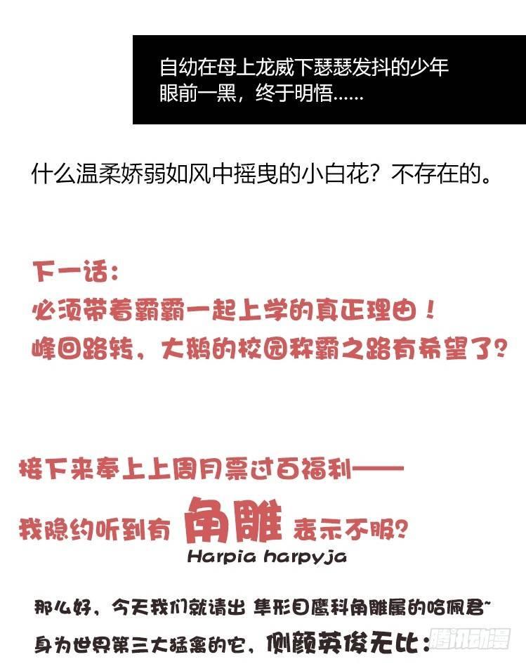 进化之基韩漫全集-家有鹅霸：和说好的不一样啊！？无删减无遮挡章节图片 