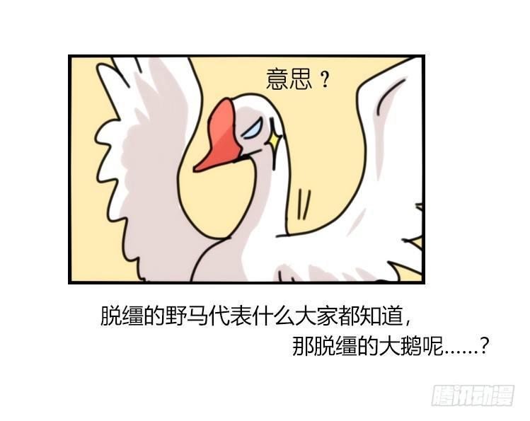 进化之基韩漫全集-家有鹅霸：人类离开之后……无删减无遮挡章节图片 