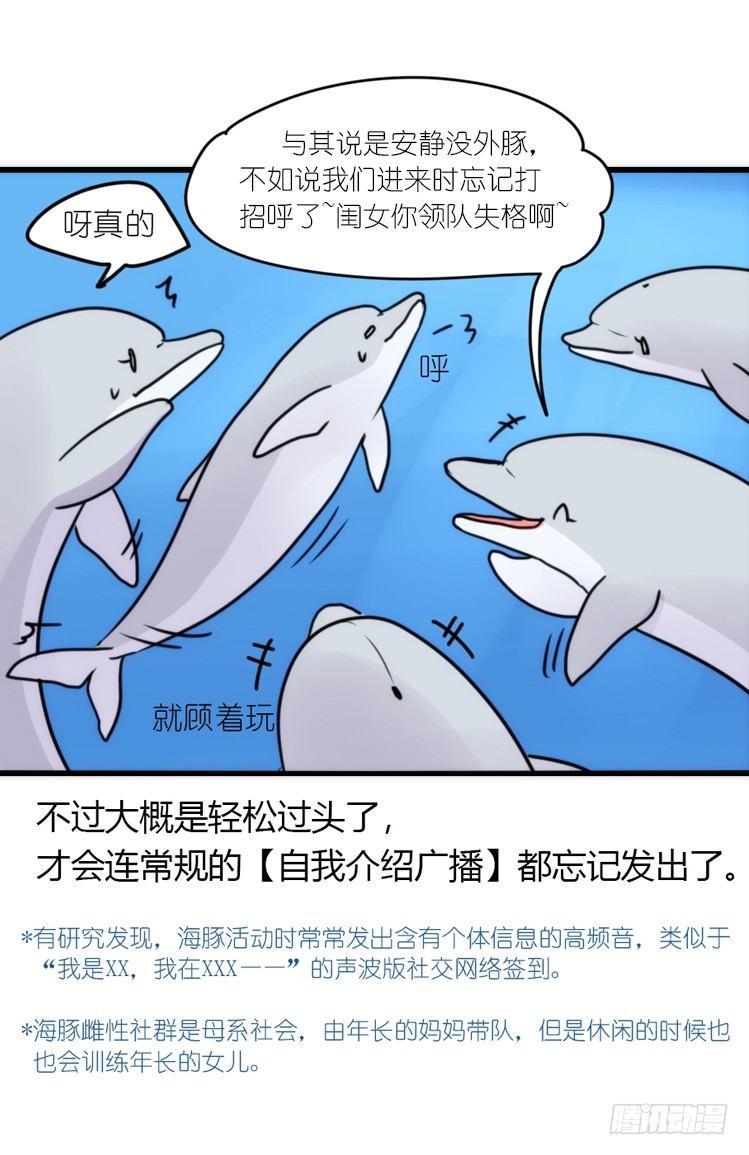 进化之基韩漫全集-海中精灵：海豚直播间无删减无遮挡章节图片 