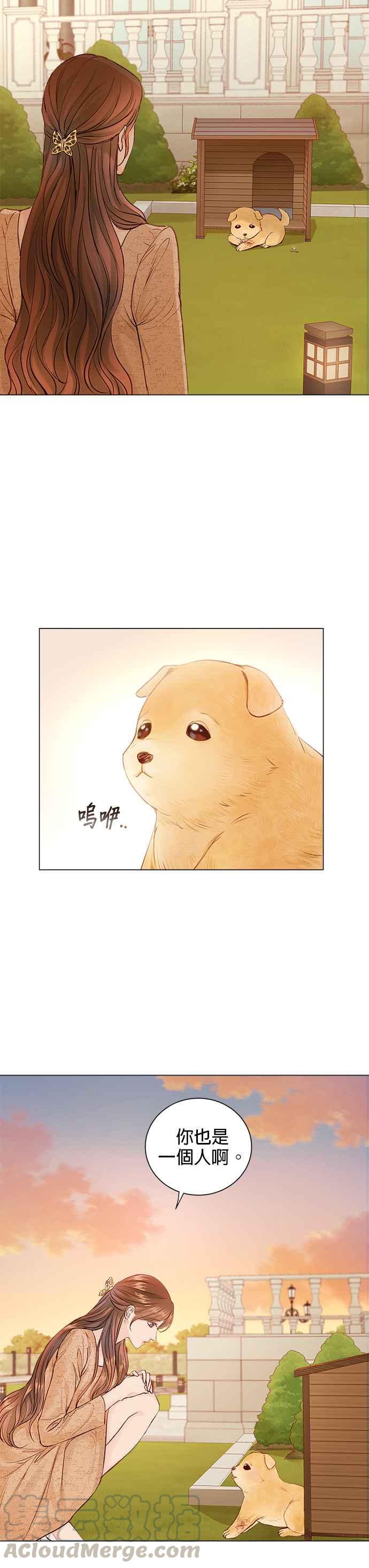 今生必定是幸福结局韩漫全集-第1话无删减无遮挡章节图片 