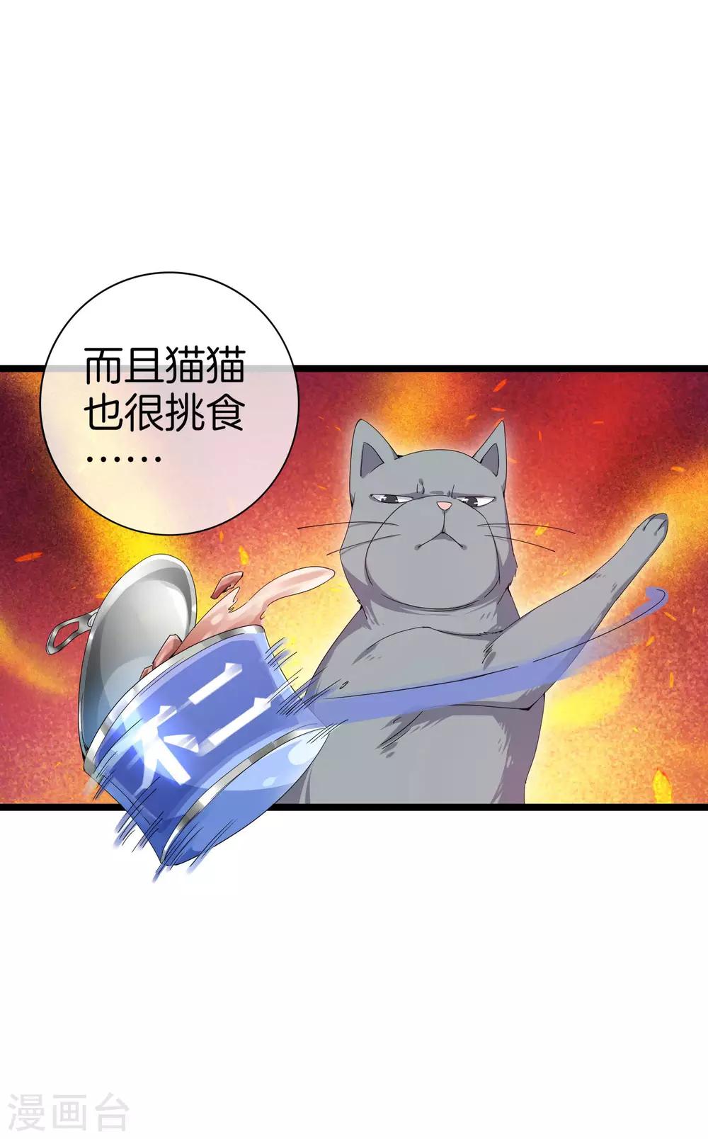 今天开始当首富韩漫全集-第125话 史上超豪华养猫团队？！无删减无遮挡章节图片 