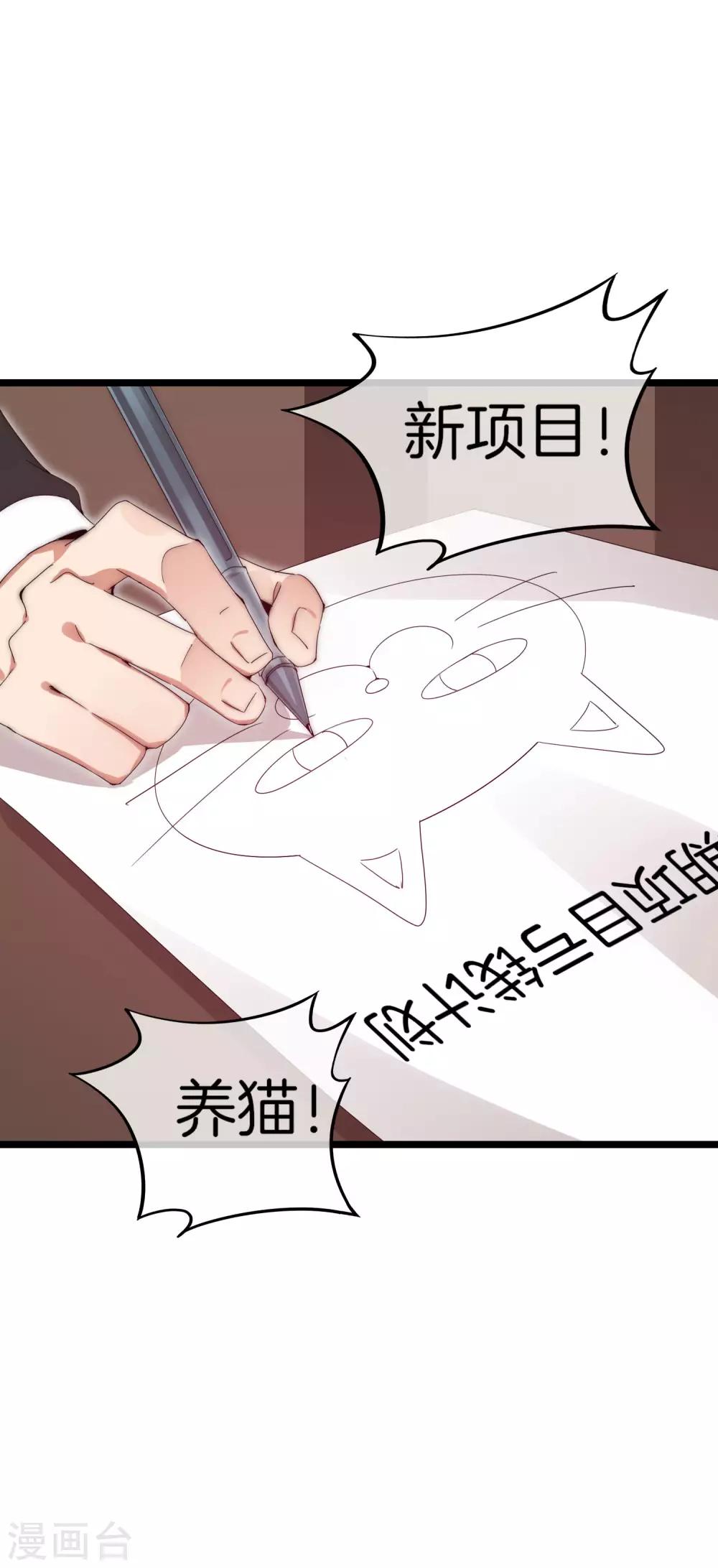 今天开始当首富韩漫全集-第125话 史上超豪华养猫团队？！无删减无遮挡章节图片 