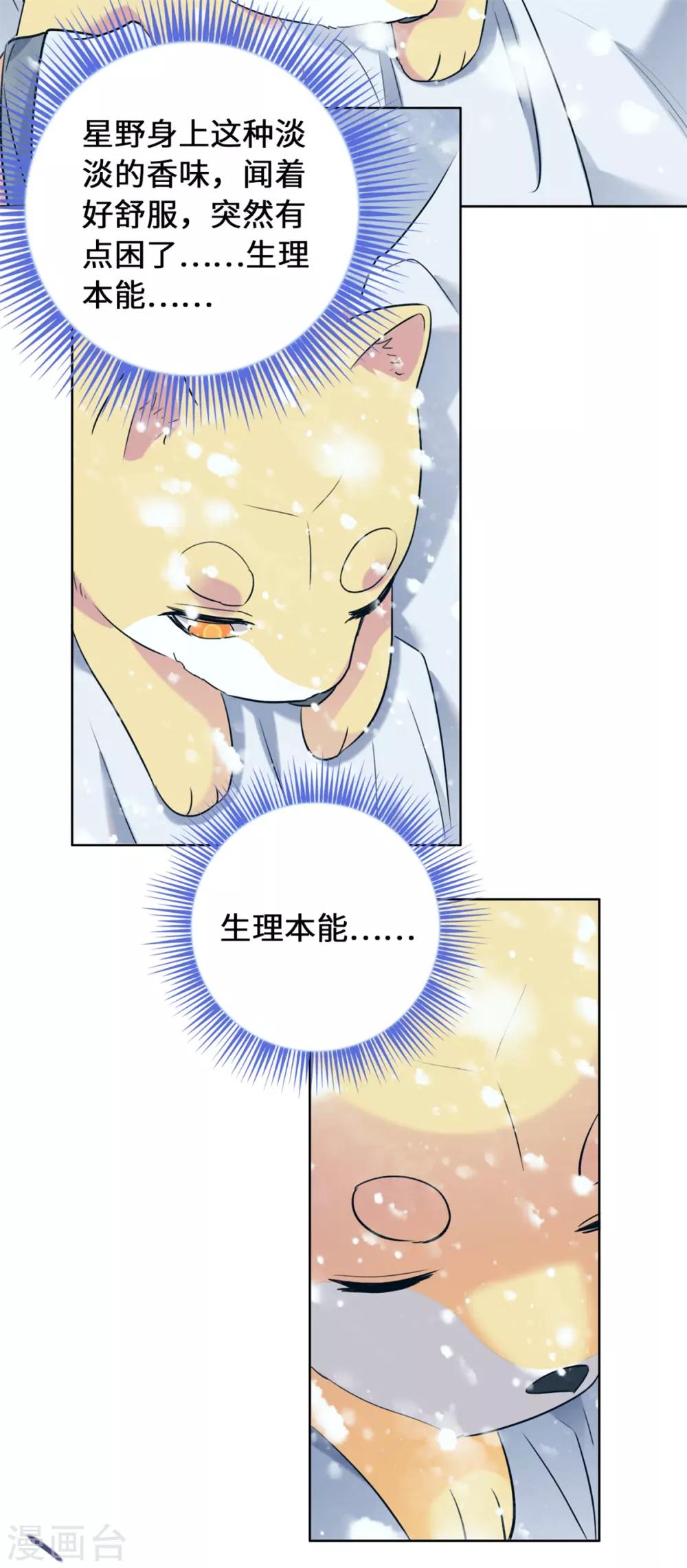 今天也没变成人韩漫全集-第13话 你家狗子我没吃饱呢无删减无遮挡章节图片 
