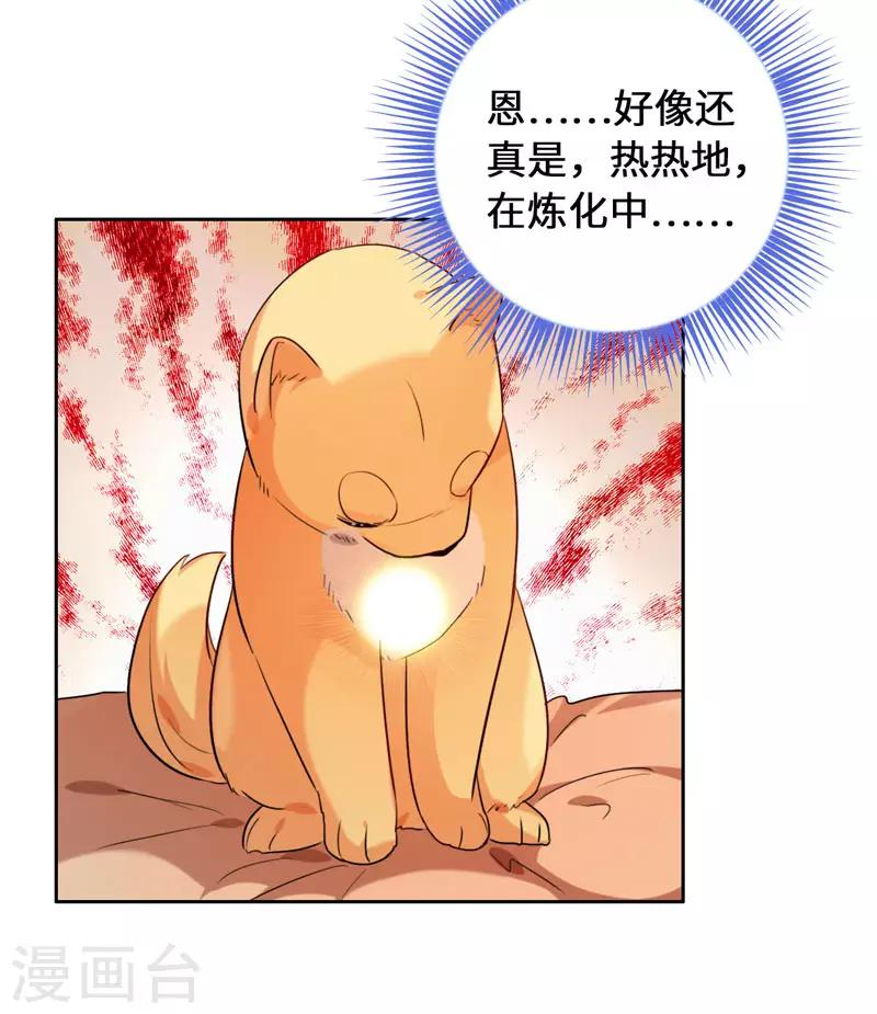 今天也没变成人韩漫全集-第8话 这客栈不对劲无删减无遮挡章节图片 