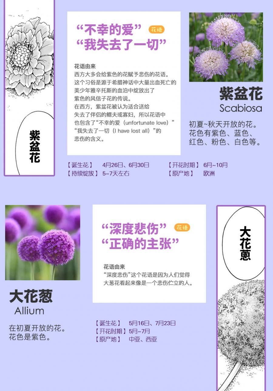 金田一37岁事件簿韩漫全集-第33话 没有完结的惨剧无删减无遮挡章节图片 