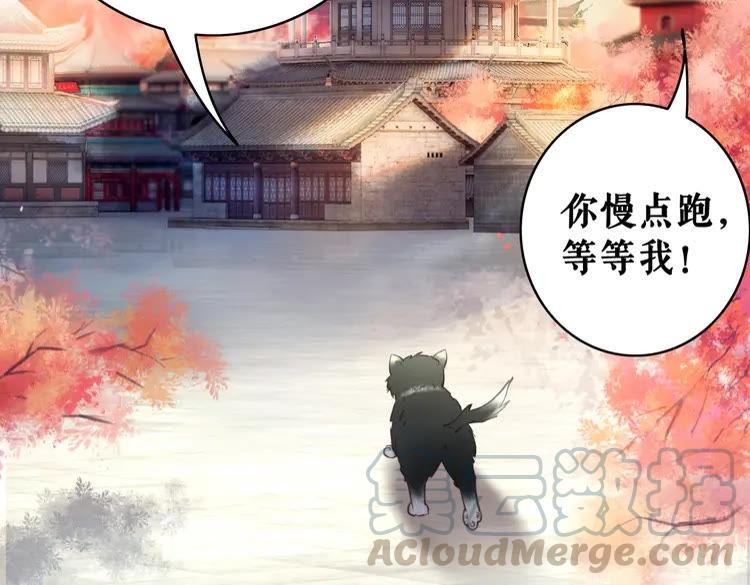 极品废材小姐韩漫全集-第40话 你做她妹妹好了无删减无遮挡章节图片 