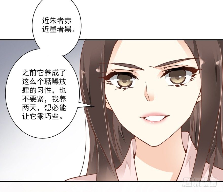 鸡汤皇后韩漫全集-卫皇后的遗书无删减无遮挡章节图片 