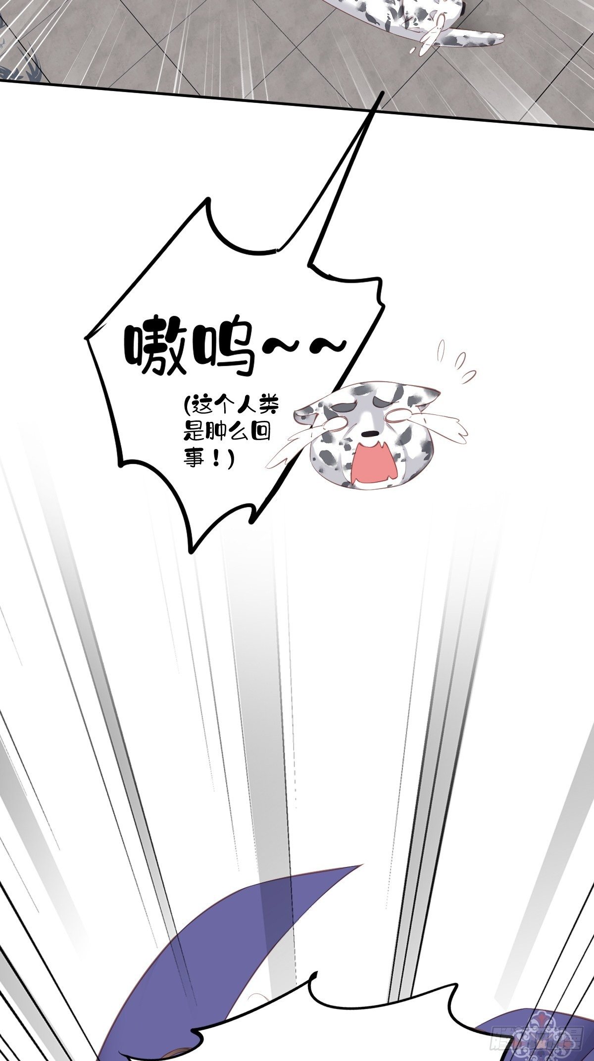 鸡汤皇后韩漫全集-第一百九十章无删减无遮挡章节图片 