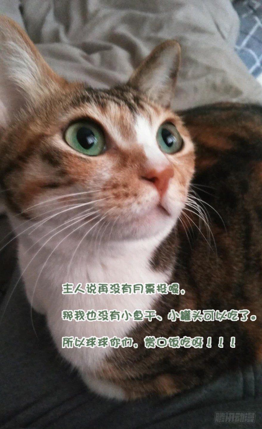 鸡汤皇后韩漫全集-第四十话（上）无删减无遮挡章节图片 