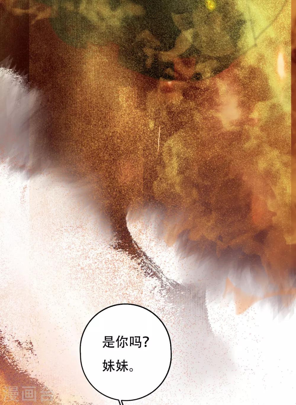 九州天空城之凤凰阵韩漫全集-第102话 凤神转生无删减无遮挡章节图片 