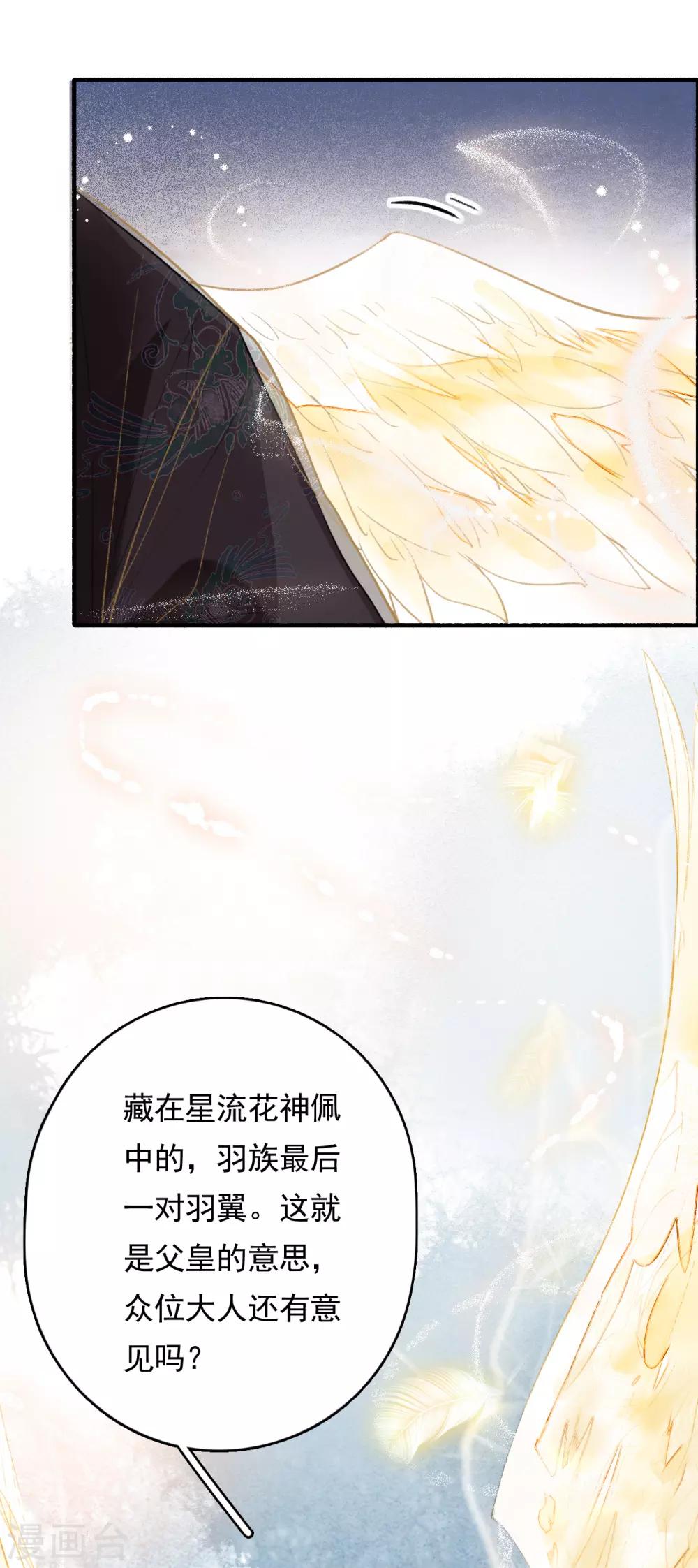 九州天空城之凤凰阵韩漫全集-第71话 羽族最后一对羽翼无删减无遮挡章节图片 