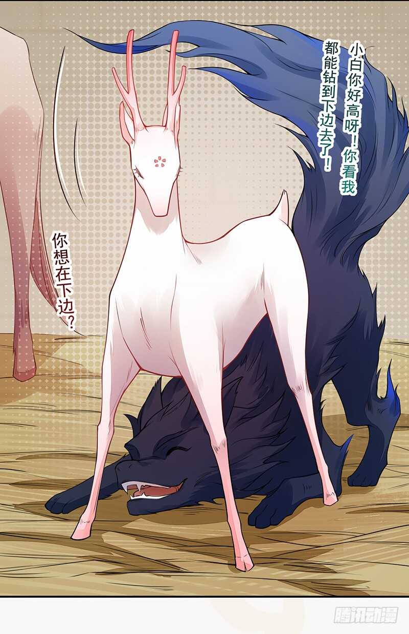 绝世炼丹师韩漫全集-120 军令状无删减无遮挡章节图片 