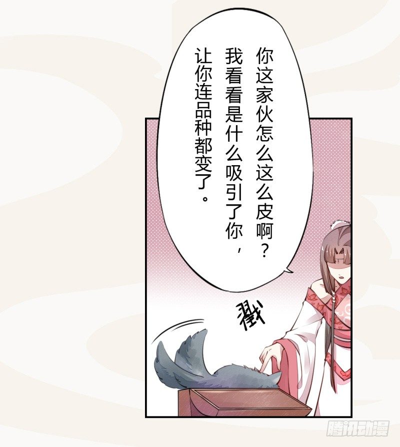 绝世炼丹师韩漫全集-034 我什么都不缺就缺宝物无删减无遮挡章节图片 