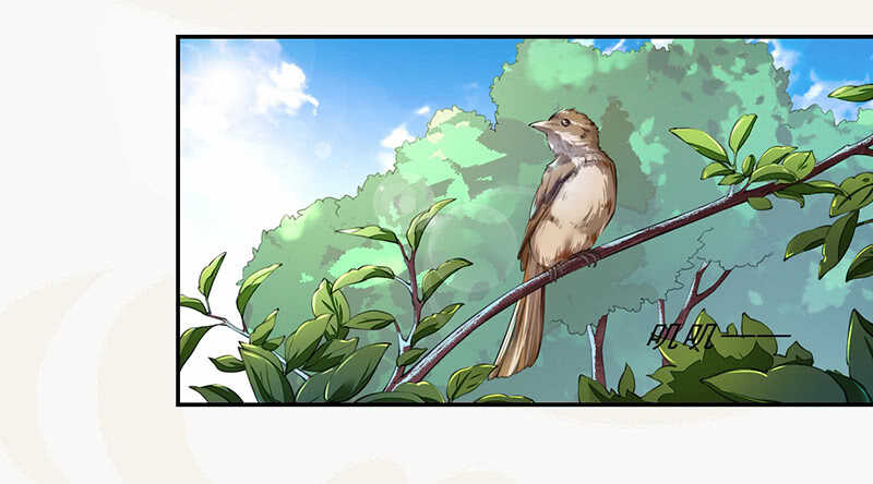绝世炼丹师韩漫全集-077 捡漏的真正玩法无删减无遮挡章节图片 