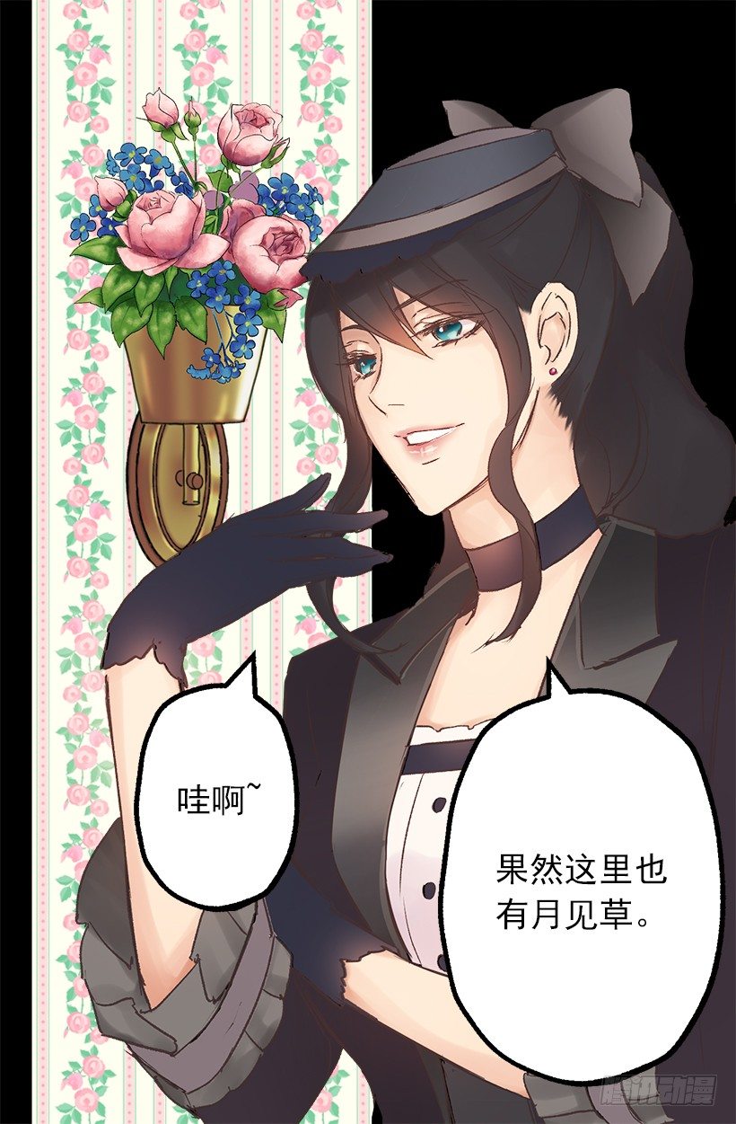 爵世恋人韩漫全集-塞勒妮小姐的朋友无删减无遮挡章节图片 
