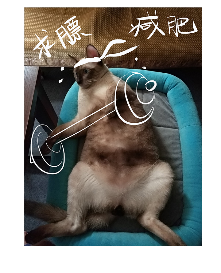觉醒纪元韩漫全集-【第四章】118无删减无遮挡章节图片 