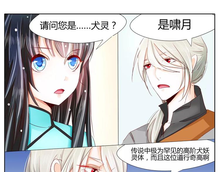 军阀霸宠：纯情妖女火辣辣韩漫全集-第29话 不讲道理的契约无删减无遮挡章节图片 