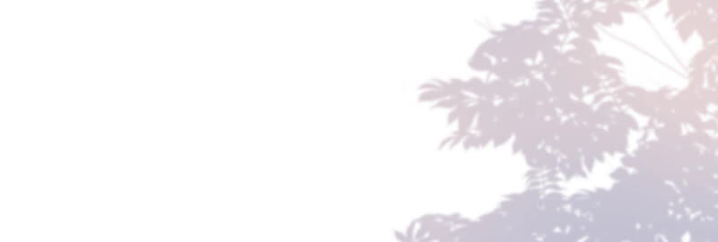 郡主稳住，人设不能崩！韩漫全集-第41话 宫斗现场无删减无遮挡章节图片 