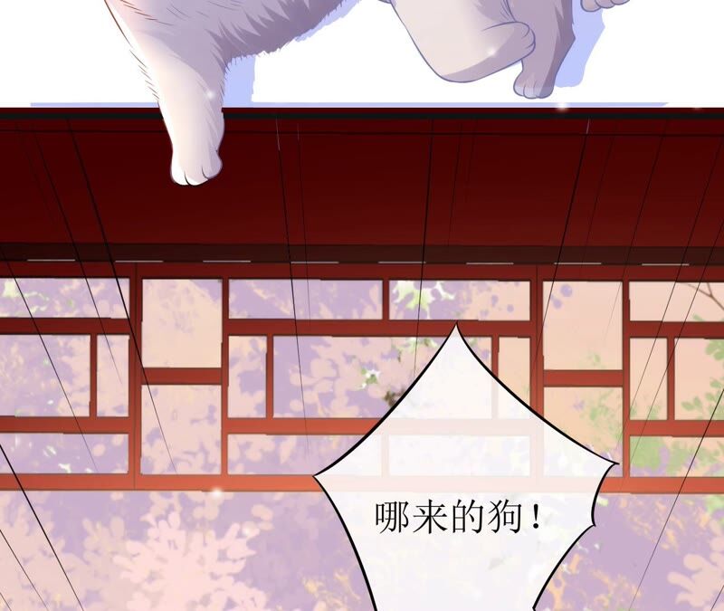 郡主稳住，人设不能崩！韩漫全集-第55话 小心摔跤！无删减无遮挡章节图片 