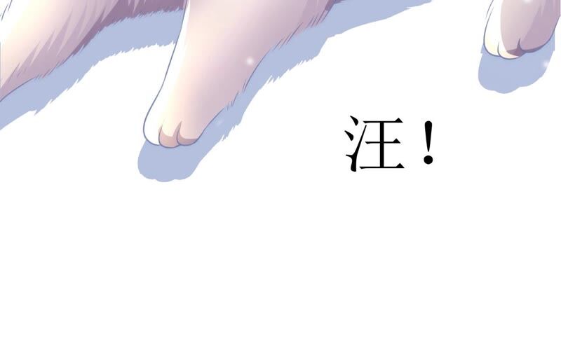 郡主稳住，人设不能崩！韩漫全集-第55话 小心摔跤！无删减无遮挡章节图片 