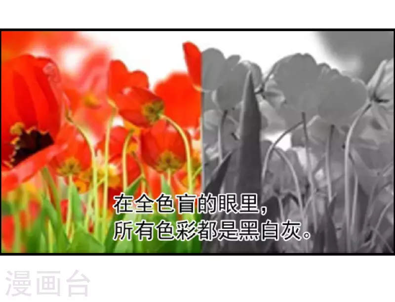 科技大仙宗韩漫全集-第17话 用科学打败魔法！无删减无遮挡章节图片 