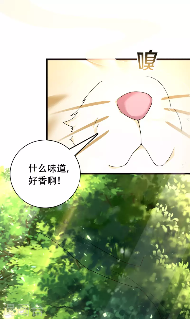 科技大仙宗韩漫全集-第19话 真是孽缘啊！无删减无遮挡章节图片 